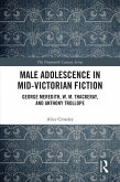 Male Adolescence in Mid-Victorian Fiction (eBook, ePUB)