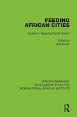 Feeding African Cities (eBook, ePUB)