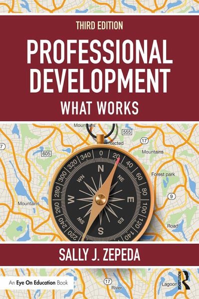 Professional Development (eBook, PDF)