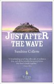Just After the Wave (eBook, ePUB) Just After the Wave (eBook, ePUB)