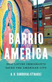 Barrio America (eBook, ePUB)