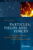 Particles, Fields and Forces (eBook, PDF)