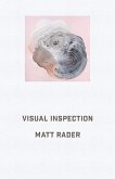 Visual Inspection (eBook, ePUB)
