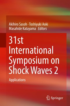 31st International Symposium on Shock Waves 2 (eBook, PDF)