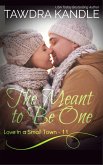 The Meant To Be One (Love in a Small Town, #11) (eBook, ePUB)