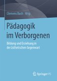 Pädagogik im Verborgenen (eBook, PDF)