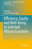 Efficiency, Equity and Well-Being in Selected African Countries (eBook, PDF)