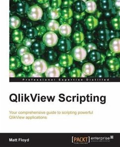 QlikView Scripting (eBook, PDF) - Floyd, Matt