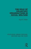 The Role of Voluntary Organisations in Social Welfare (eBook, PDF)