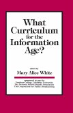 What Curriculum for the Information Age (eBook, ePUB)