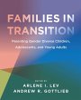 Families in Transition (eBook, ePUB) - Bild 1