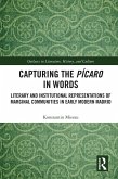 Capturing the Pícaro in Words (eBook, PDF)
