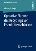 Operative Planung des Recyclings von Eisenhüttenschlacken (eBook, PDF)