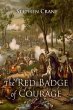 Red Badge of Courage (eBook, PDF) - Bild 1