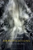Amplifications (eBook, ePUB)