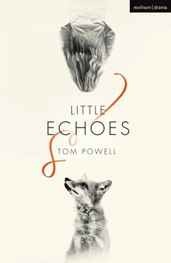 Little Echoes (eBook, PDF) - Powell, Tom