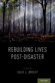 Rebuilding Lives Post-Disaster (eBook, ePUB)