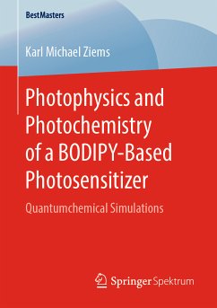 Photophysics and Photochemistry of a BODIPY‐Based Photosensitizer (eBook, PDF) - Ziems, Karl Michael