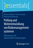 Prüfung und Weiterentwicklung von Risikomanagementsystemen (eBook, PDF)
