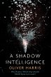 A Shadow Intelligence (eBook, ePUB) - Bild 1