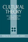 Cultural Theory (eBook, PDF)