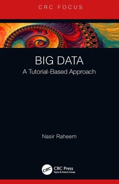 Big Data (eBook, ePUB) - Raheem, Nasir