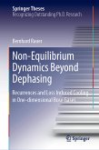 Non-Equilibrium Dynamics Beyond Dephasing (eBook, PDF)