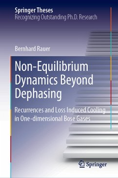 Non-Equilibrium Dynamics Beyond Dephasing (eBook, PDF) - Rauer, Bernhard
