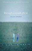 Through a Small Ghost (eBook, ePUB)