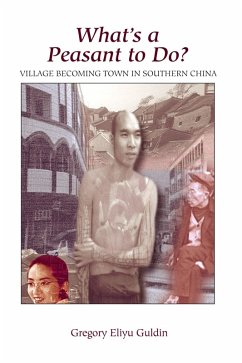 What's A Peasant To Do? Village Becoming Town In Southern China (eBook, PDF) - Guldin, Greg
