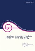 Abelian Groups, Module Theory, and Topology (eBook, ePUB)