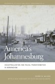 America's Johannesburg (eBook, ePUB)