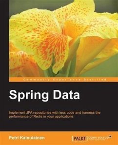 Cover Spring Data (eBook, PDF)