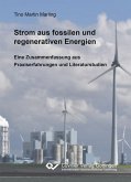 Strom aus fossilen und regenerativen Energien (eBook, PDF)