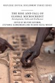 The Rise and Fall of Global Microcredit (eBook, PDF)