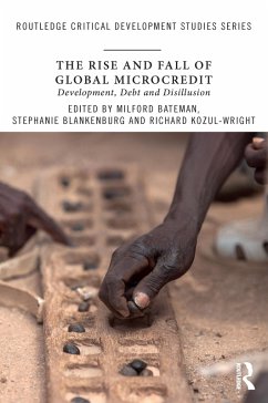 Cover The Rise and Fall of Global Microcredit (eBook, PDF)