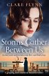 Storms Gather Between Us (eBook, ePUB) - Bild 1