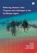 Reducing Disaster Risks (eBook, ePUB) - Bild 1