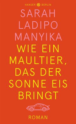 Wie ein Maultier, das der Sonne Eis bringt (eBook, ePUB) - Ladipo Manyika, Sarah