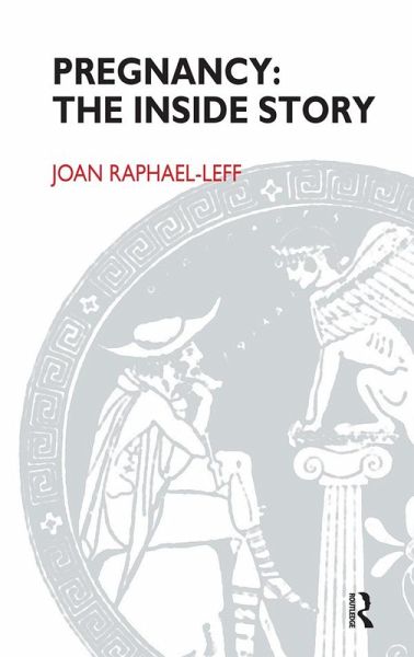 Pregnancy (eBook, ePUB) Pregnancy (eBook, ePUB)