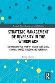 Strategic Management of Diversity in the Workplace (eBook, PDF)