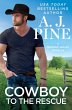 Cowboy to the Rescue (eBook, ePUB) - Bild 1