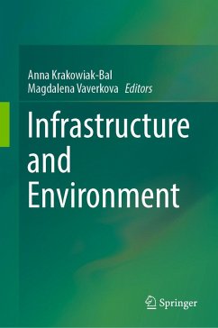 Infrastructure and Environment (eBook, PDF)