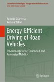 Energy-Efficient Driving of Road Vehicles