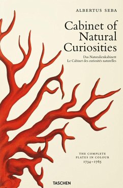 Seba. Cabinet of Natural Curiosities - Müsch, Irmgard;Rust, Jes;Willmann, Rainer