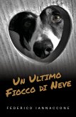 Un ultimo fiocco di neve (eBook, ePUB)