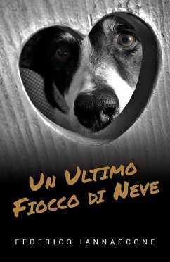 Un ultimo fiocco di neve (eBook, ePUB) - Iannaccone, Federico