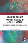 Meaning, Agency and the Making of a Social World (eBook, PDF)