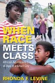 When Race Meets Class (eBook, PDF)