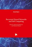 Recurrent Neural Networks and Soft Computing